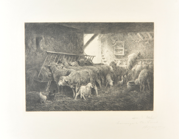INTERIOR OF A SHEEPFOLD