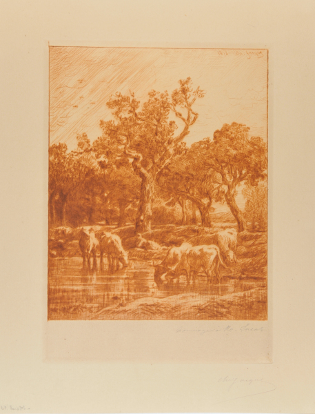 COWS AT THE WATERING PLACE