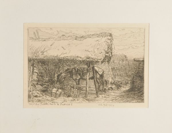 Cheval sous un hangar