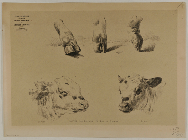 Three hooves and two cow heads