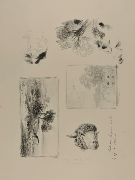 UNPUBLISHED SKETCHES FOR THE SERIES "COURS DE DESSIN"