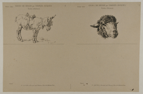 Mule with saddle, sheep’s head