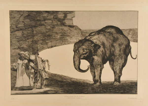 WHO WILL BELL THE CAT?