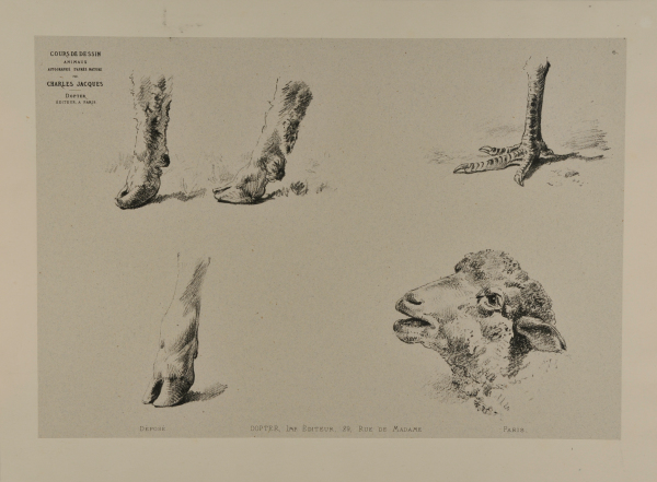 Hooves, claw, and sheep’s head