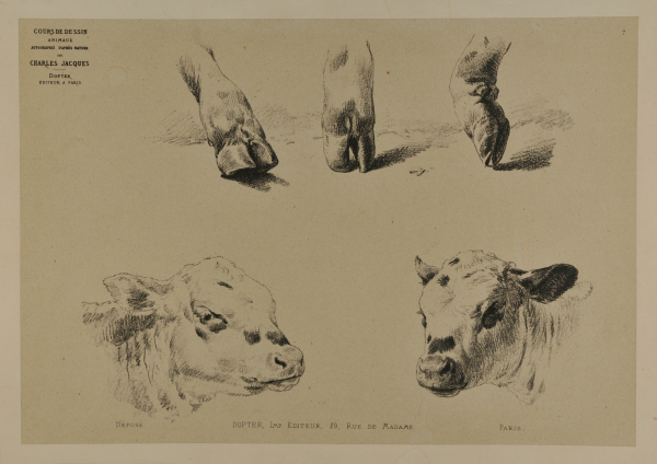 Three hooves and two cow heads