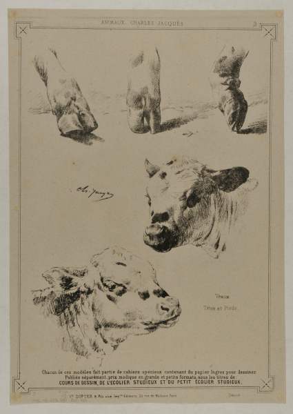 Three hooves and two cow heads
