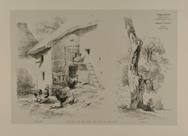 Chicken coop and tree trunk