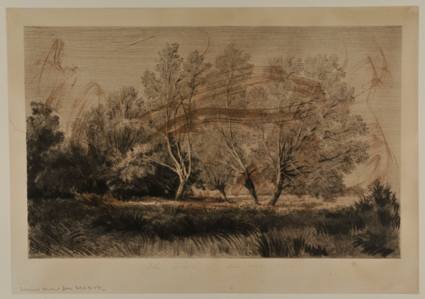 The Four Leaning Trees