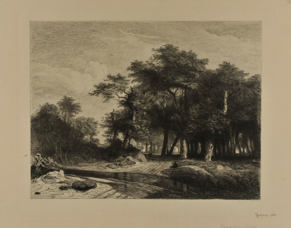 Forêt de Chênes et de Hétriers