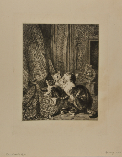 MOTHER CAT AND KITTENS