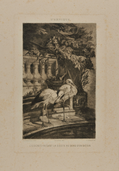 Cigognes sur le Bords d’un Bassin