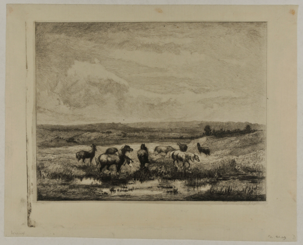 Horses at a Pond