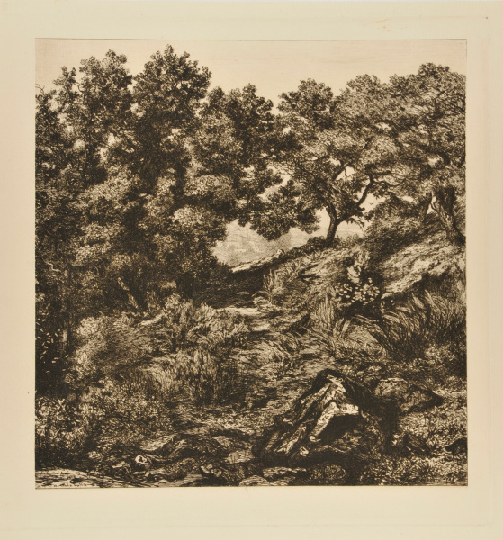 Près Villars (Puy-de-Dôme)