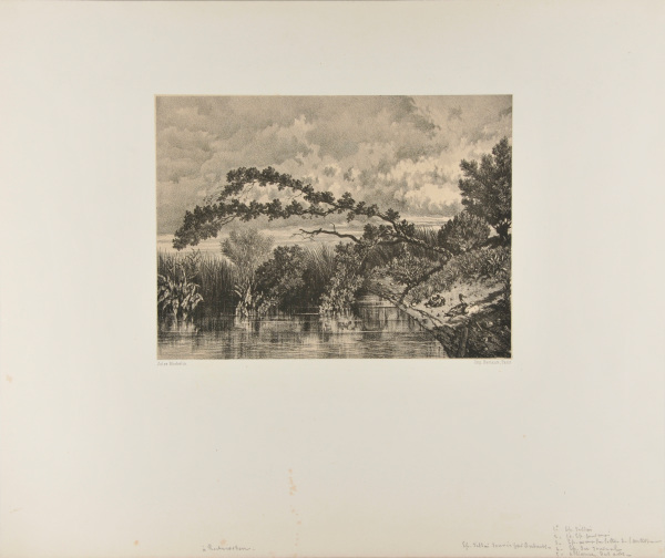 A POND IN ROCHECORBOU