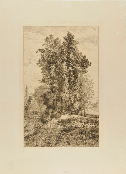 THE BANKS OF THE SICHON IN VICHY