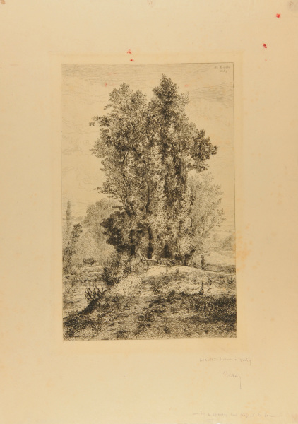 THE BANKS OF THE SICHON IN VICHY