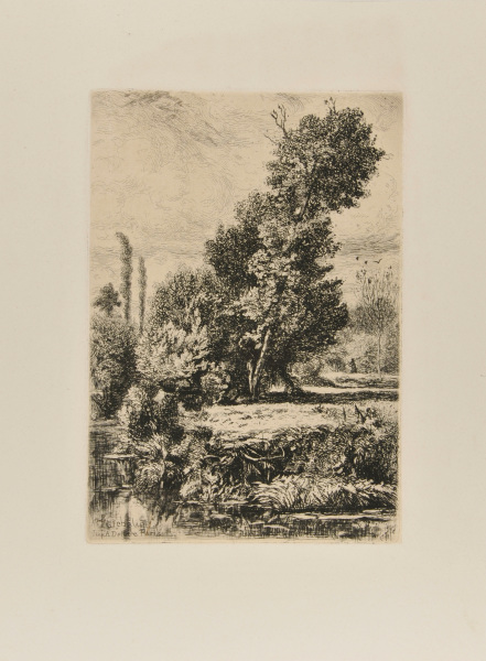 CHESTNUT TREE IN ROYAT (FIRST PLATE)