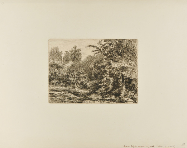 A HEDGEROW IN CHATOU