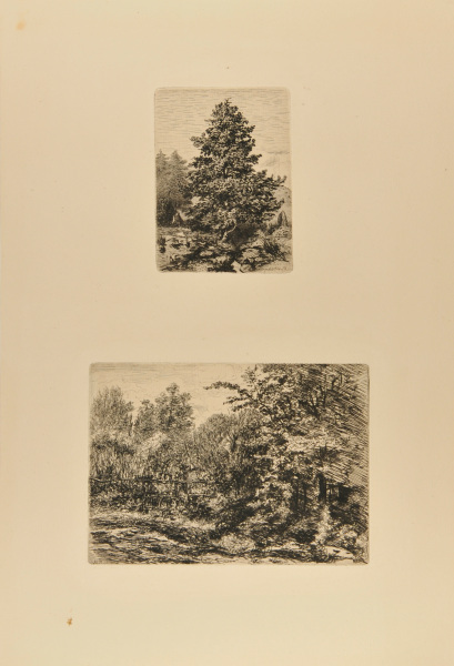 STUDY OF A FIR TREE, MONT-DORE; A HEDGEROW IN CHATOU