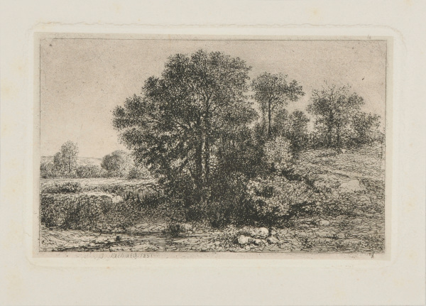 LARGE MASS OF TREES ON A KNOLL