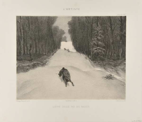 RABBIT BEING CHASED BY DOGS