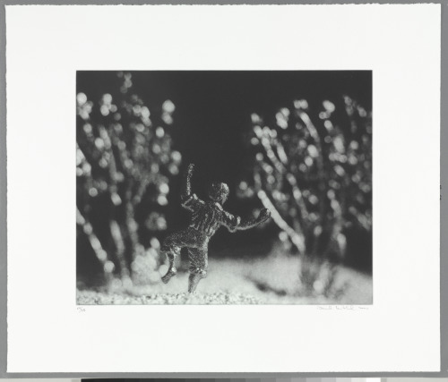 DANCING IN THE FIELD