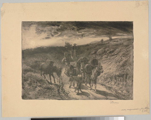 THE BURRO TRAIN, NEW MEXICO