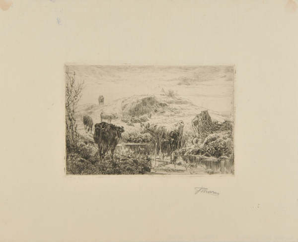 A STREAM IN THE PASTURE