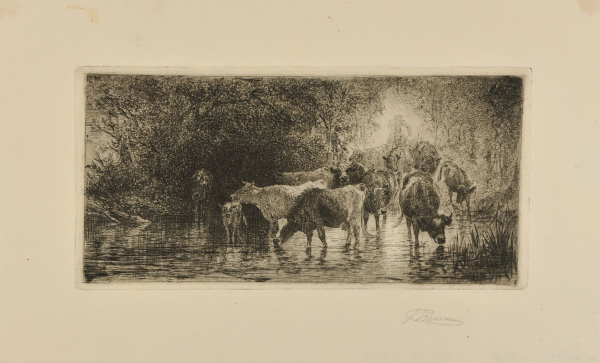 EVENING--CATTLE CROSSING THE STREAM