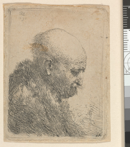 BALD-HEADED MAN IN PROFILE RIGHT: SMALL BUST, THE ARTIST'S FATHER (?)