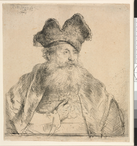 OLD MAN WITH A DIVIDED FUR CAP