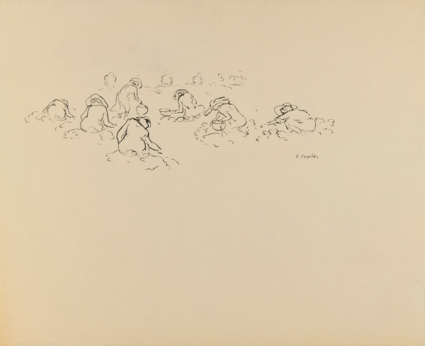 WOMEN WORKING IN A FIELD