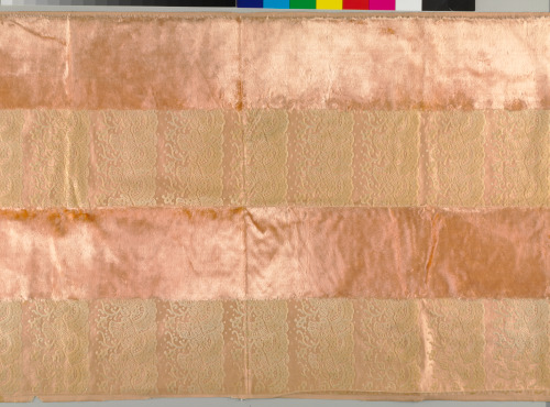 Plush Velvet Panel with Uncut Lace Motif