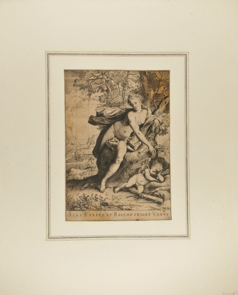 SINE CERERE ET BACCHO FRIGET VENUS