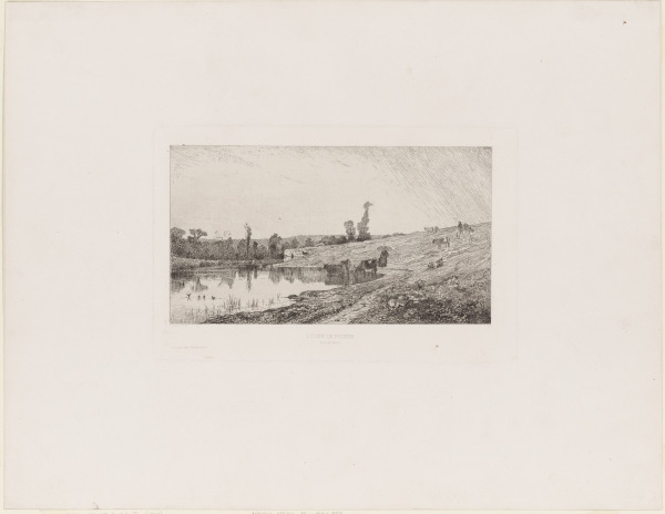 L'Etang de Frignac - A Creys (Iseres)