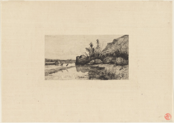 Marais de la Burbanche (Ain.)