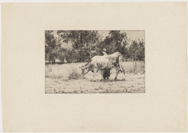 Uno Bergere au printemps