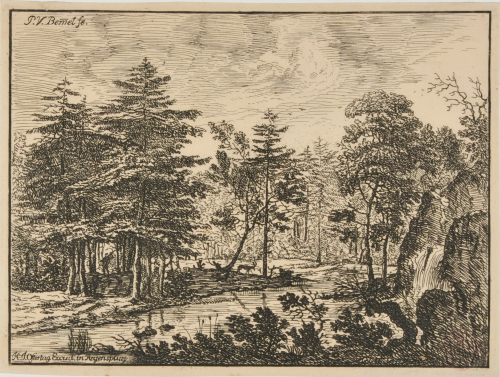 DEER IN THE WOODS BY A RIVER