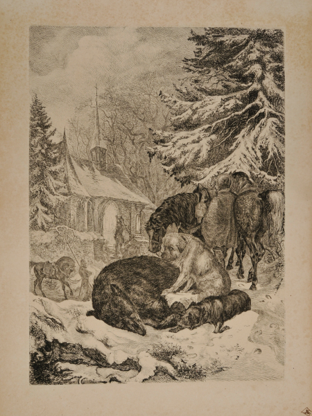 The Dead Bear