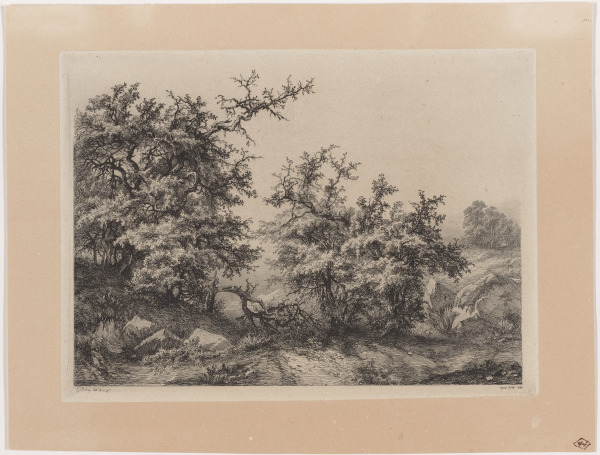 Les Buissons d’ epine (The Scrub pines)