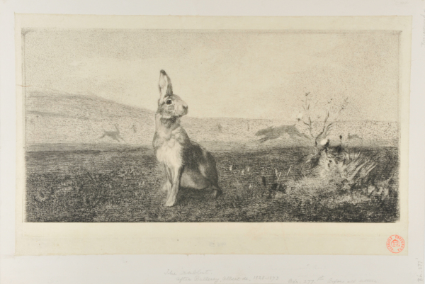 Le Lievre (The Rabbit)