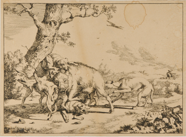 THE BOAR HUNT