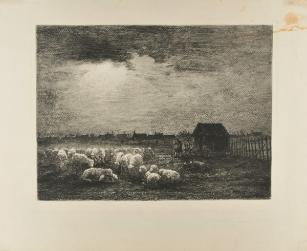 MOUTONS EN PLAINE