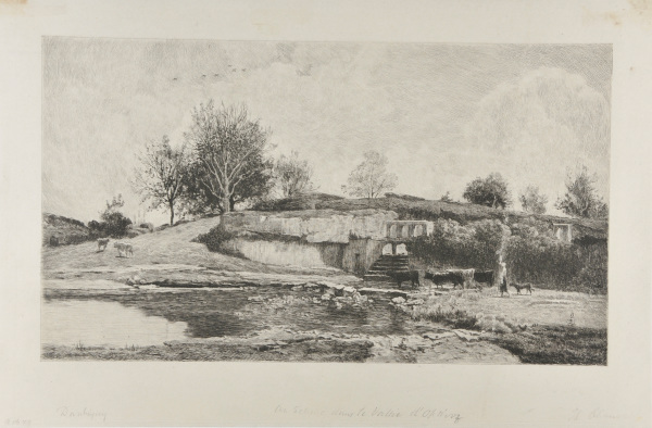 Une Feluse Dans La Vallée D'Optevoz (Isère)