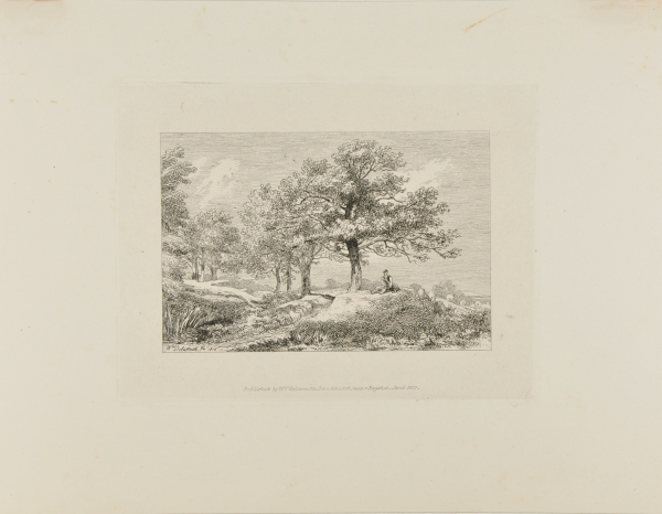 Man and Dog Sitting Under a Tree