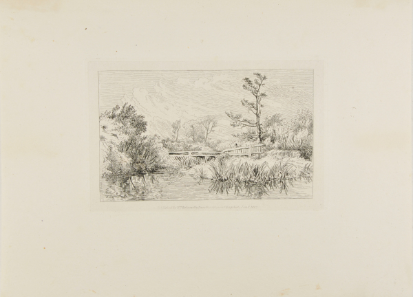 REEDS GROWING BY THE WATER, WOODEN BRIDGE IN BACKGROUND