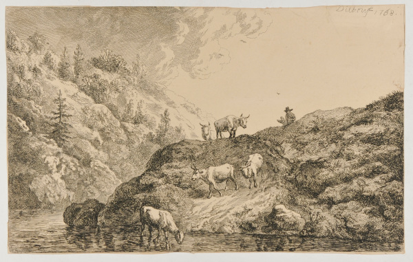 OXEN AT THE WATERING PLACE