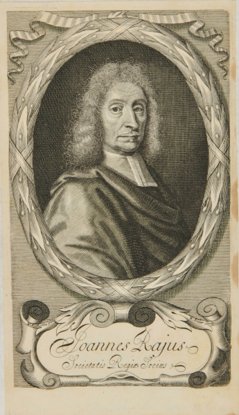 Joannes Rajus/Socitatis Regiae Sociis