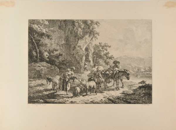 LAMB BROUGHT TO MOTHER SHEEP