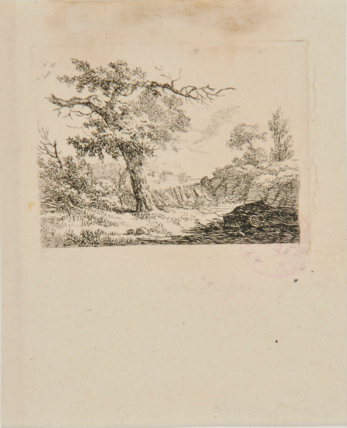 SMALL LANDSCAPE WITH ONE LARGE TREE